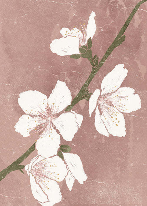 Botanisk poster med blomma på rosa bakgrund