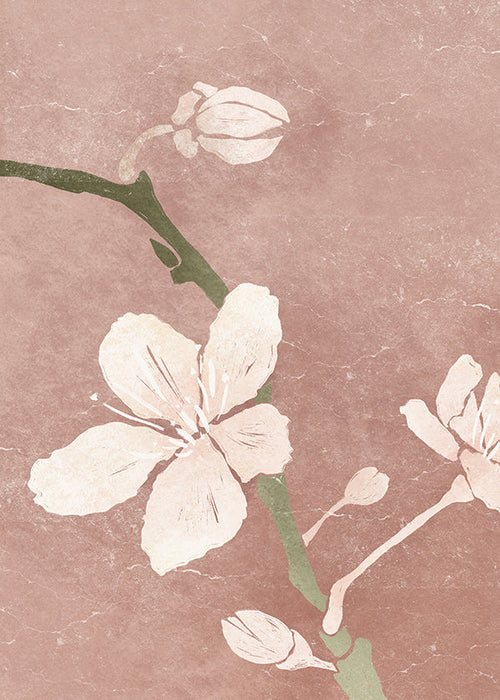 Botanisk poster rosa blomma