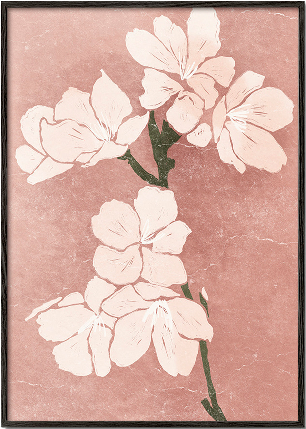Botanisk poster rosa blommor med vintagestruktur – Black Frame