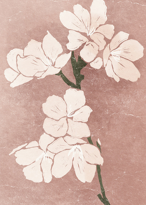 Botanisk poster rosa blommor med vintagestruktur