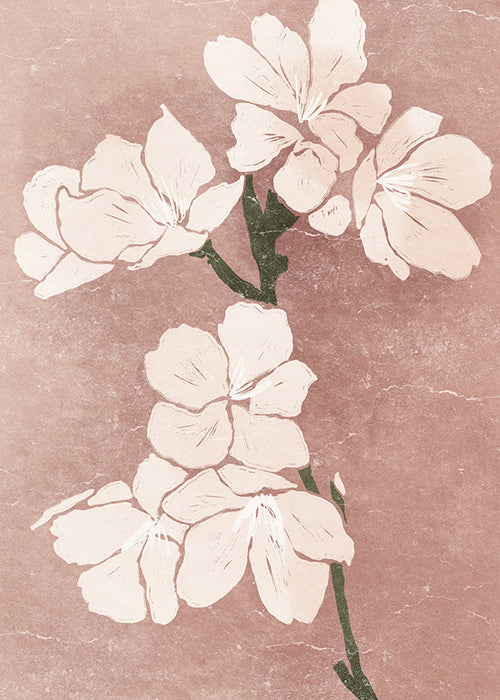 Botanisk poster rosa blommor med vintagestruktur