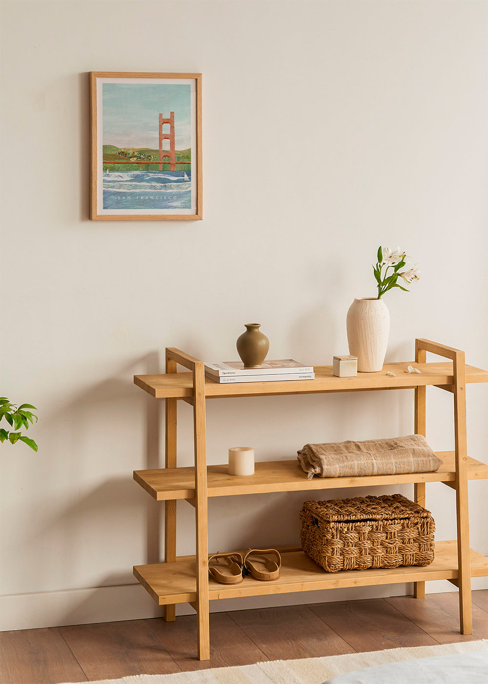 Stadsposter San Francisco illustration