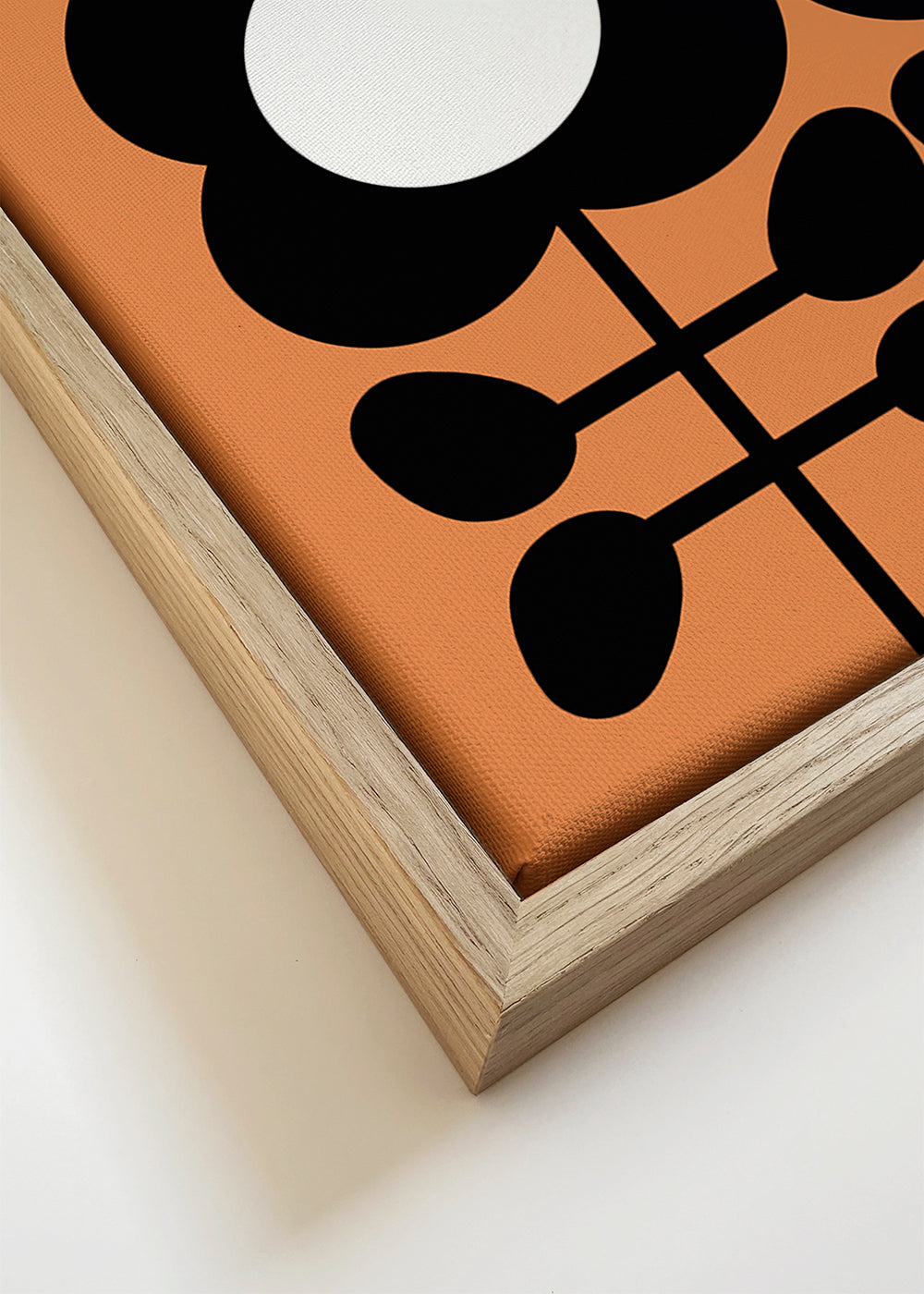 Botanisk poster Daisy minimal