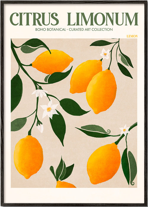 Botanisk poster citron på gren