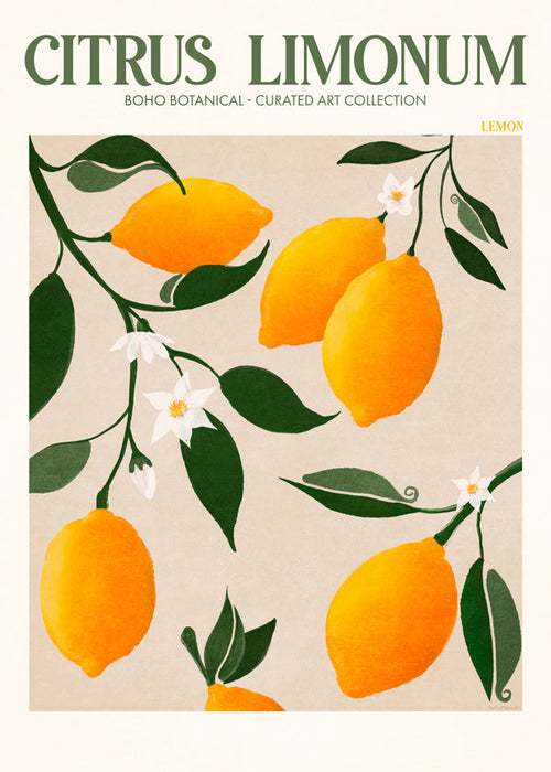 Botanisk poster citron på gren