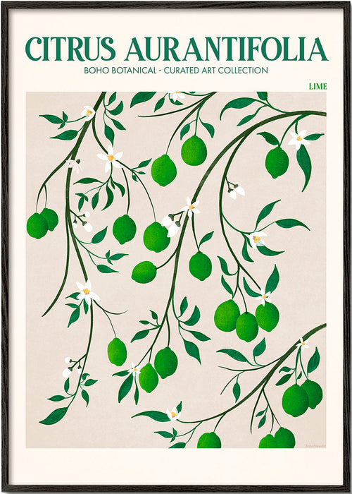 Botanisk poster med limegrenar
