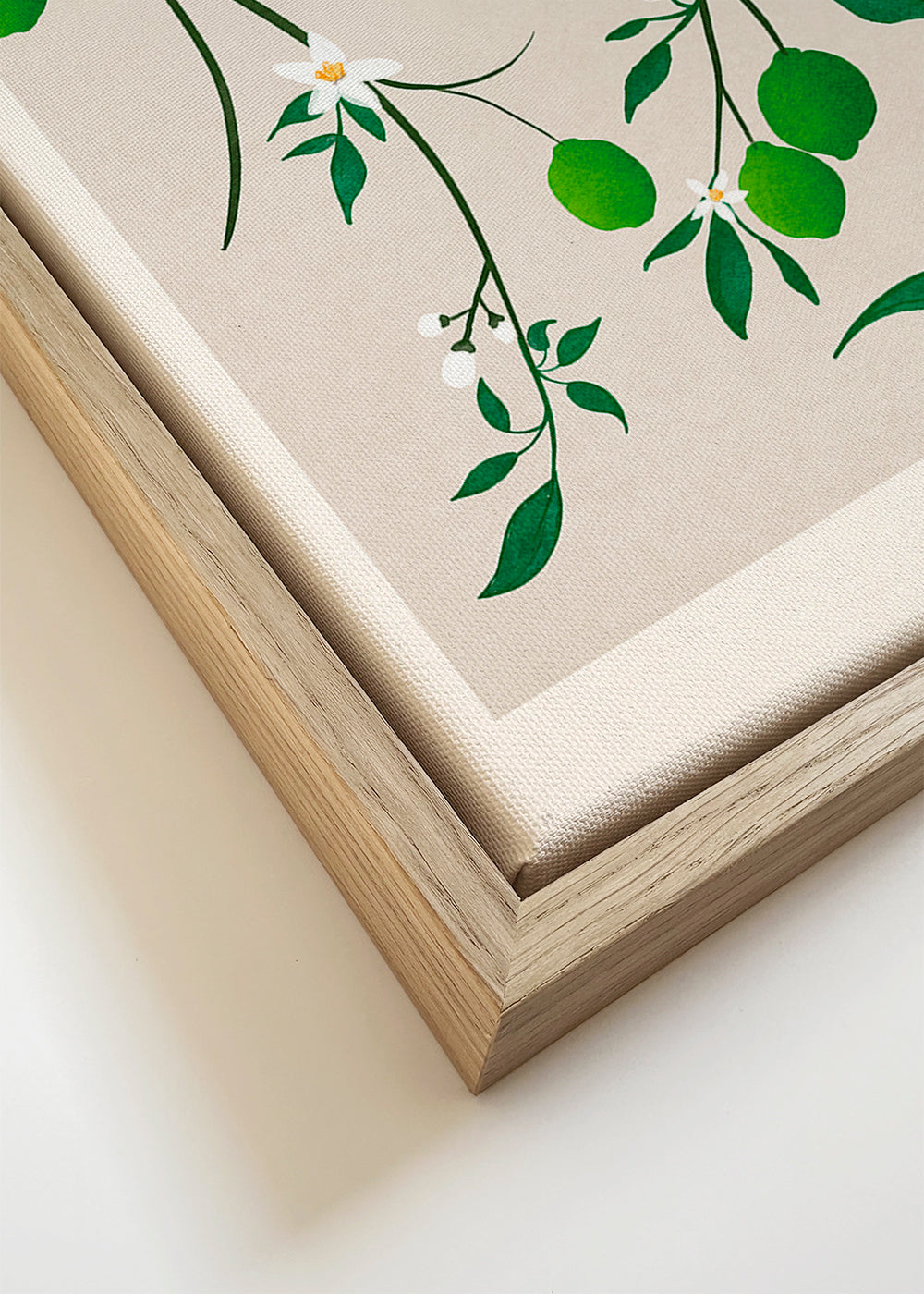 Botanisk poster med limegrenar