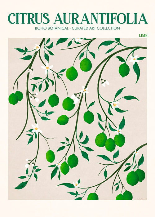 Botanisk poster med limegrenar