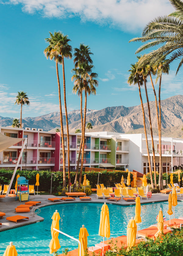 Palm Springs Saguaro