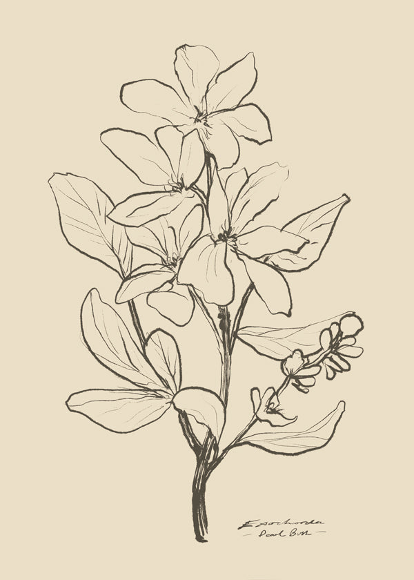 Botaniskt tryck — linjeflor-skiss