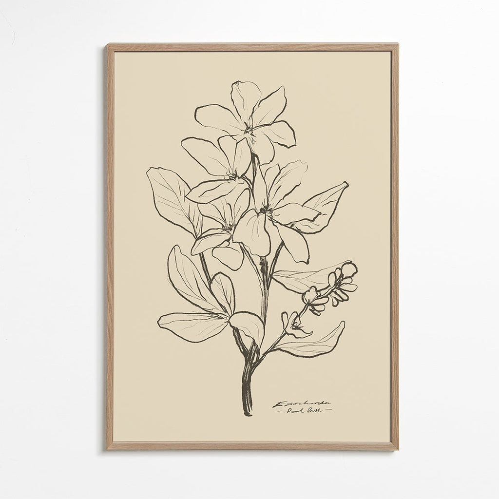Botaniskt tryck — linjeflor-skiss