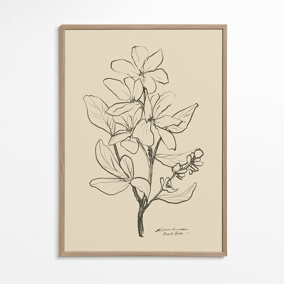 Botaniskt tryck — linjeflor-skiss