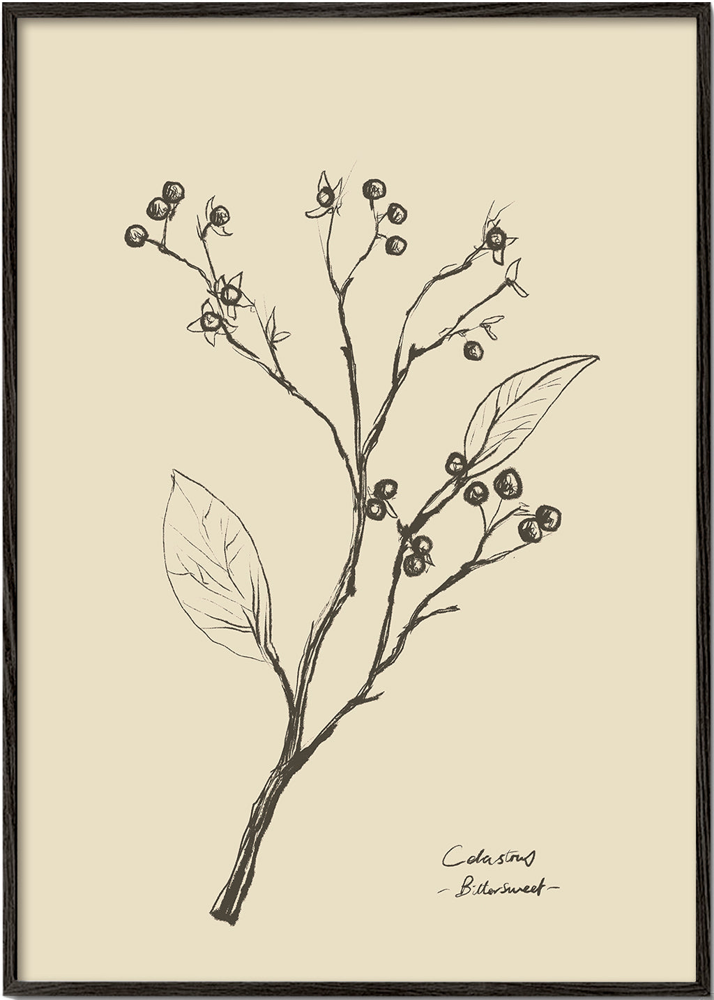 Botanisk poster: gren med bär på beige