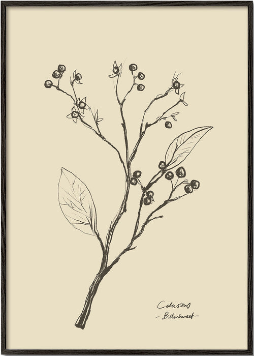 Botanisk poster: gren med bär på beige