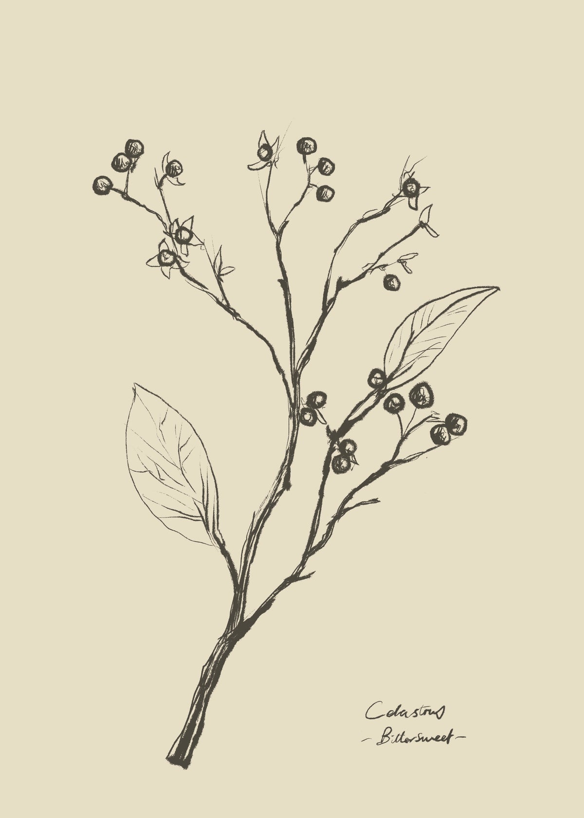 Floral 2 - Unframed art print