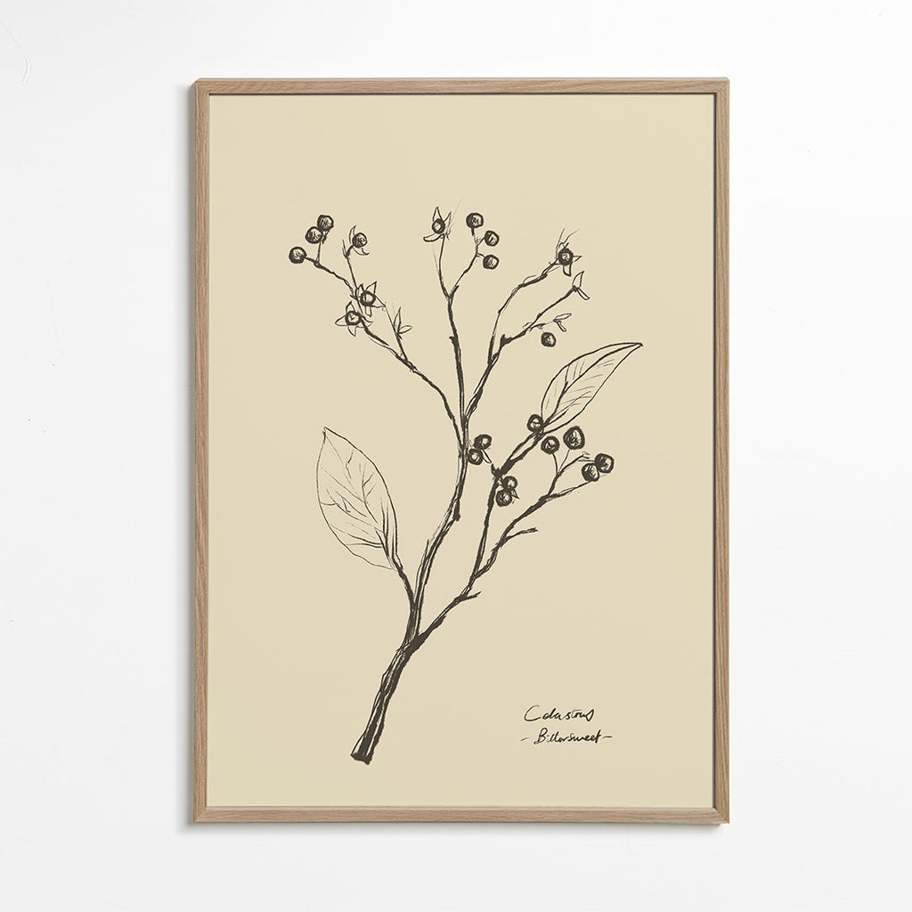 Botanisk poster: gren med bär på beige