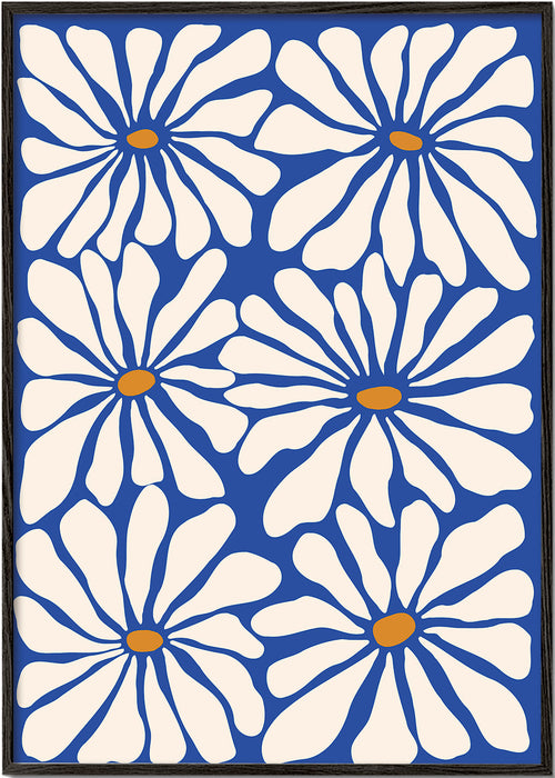 Botanisk poster vita prästkragar mot blå bakgrund