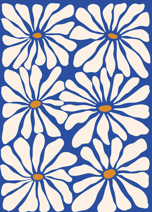 Botanisk poster vita prästkragar mot blå bakgrund