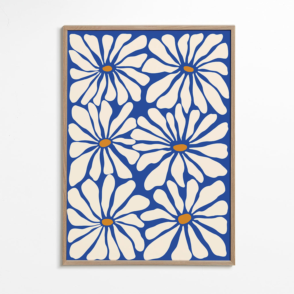 Botanisk poster vita prästkragar mot blå bakgrund