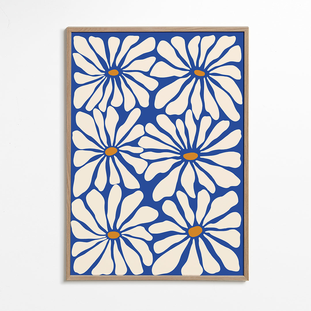 Botanisk poster vita prästkragar mot blå bakgrund