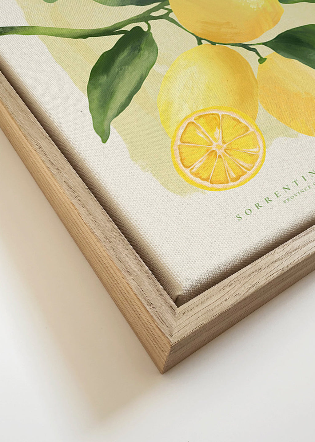 Botanisk Amalfi-citronaffisch