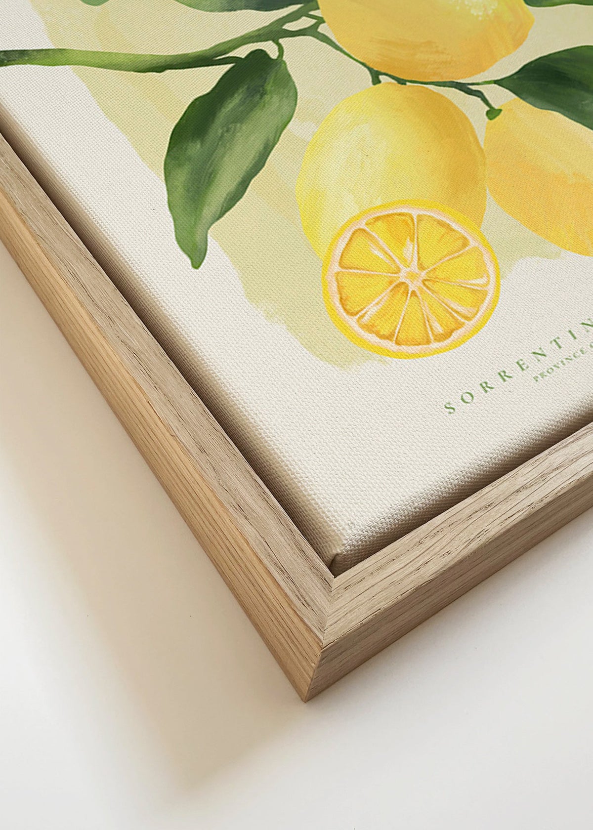 Botanisk Amalfi-citronaffisch