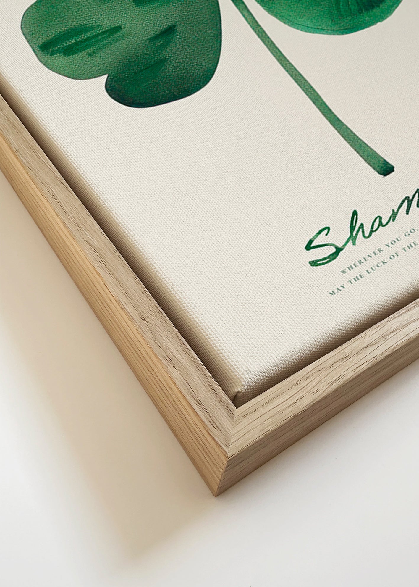 Botanisk poster Shamrock klöver akvarell