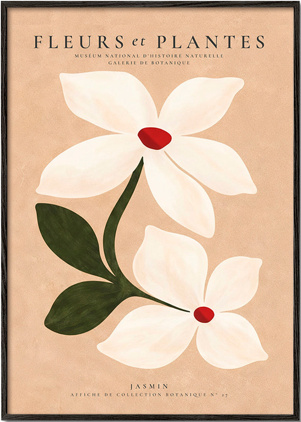 Botanisk poster jasmin på beige bakgrund