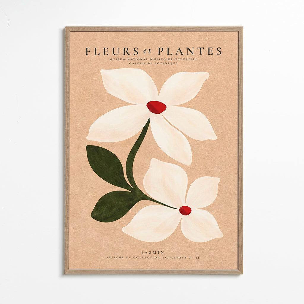 Botanisk poster jasmin på beige bakgrund