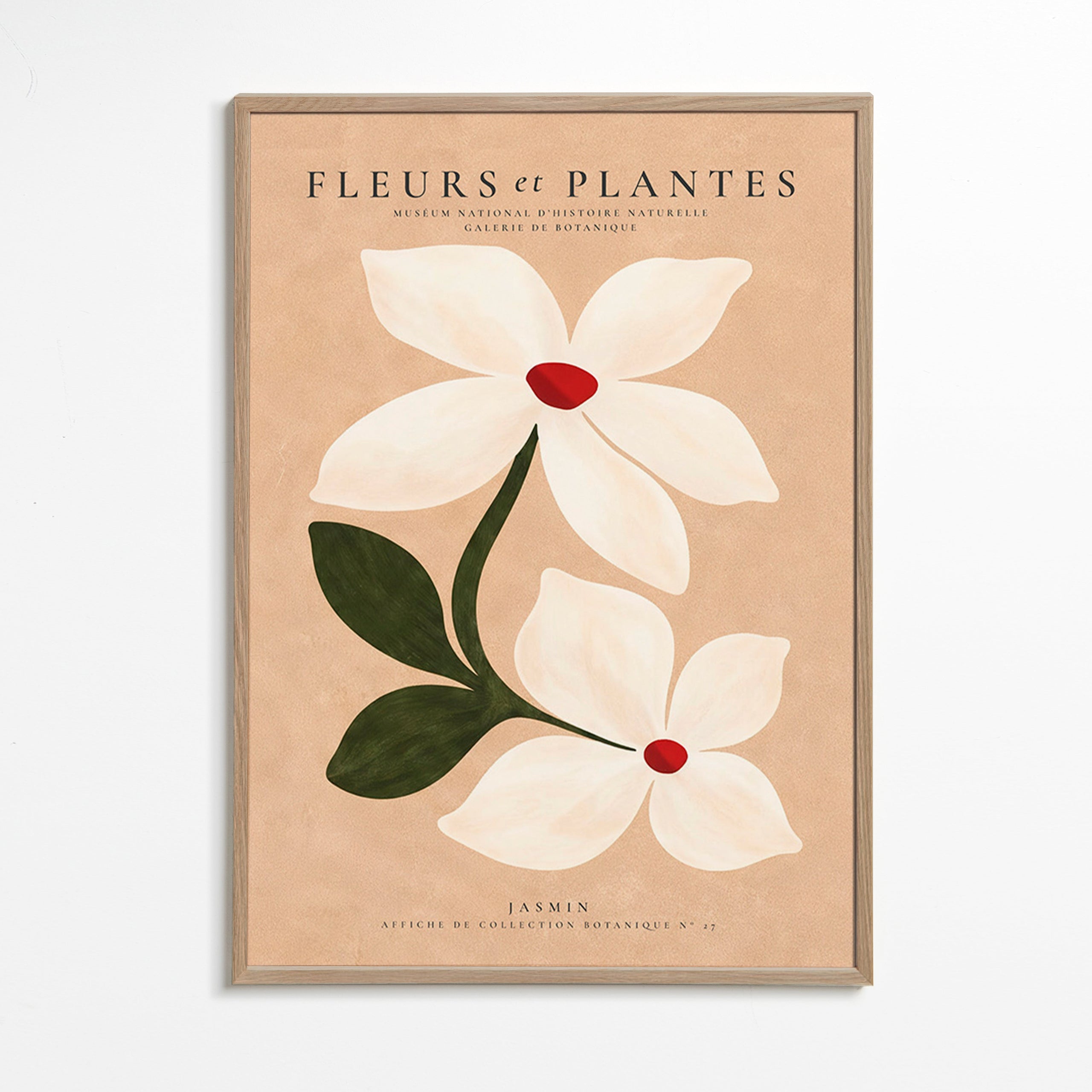 Botanisk poster jasmin på beige bakgrund