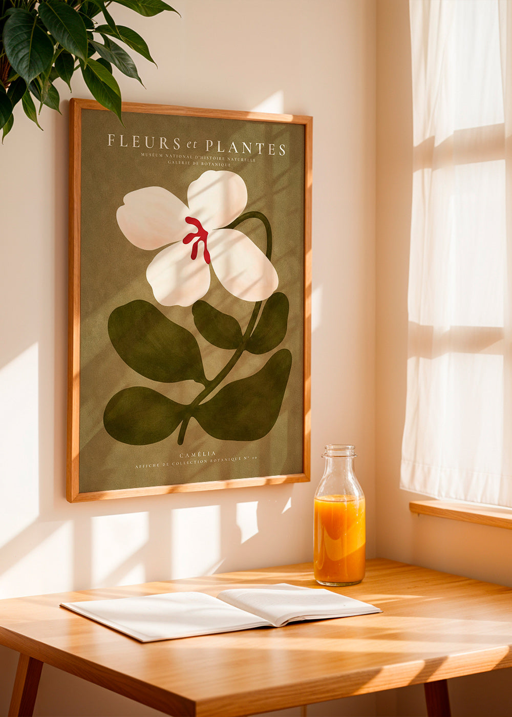 Botanisk poster: vit kamelia på olivgrön bakgrund