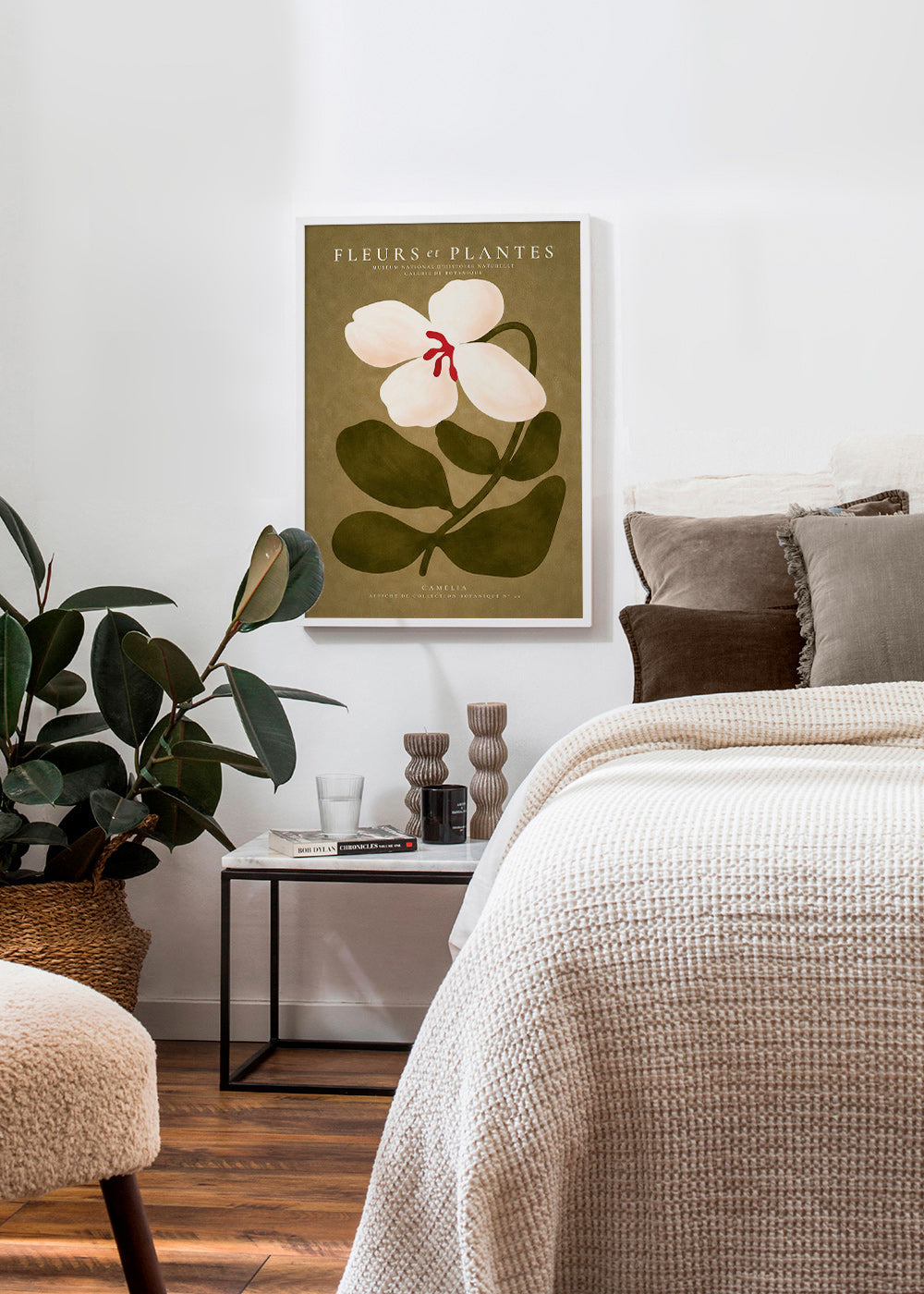 Botanisk poster: vit kamelia på olivgrön bakgrund