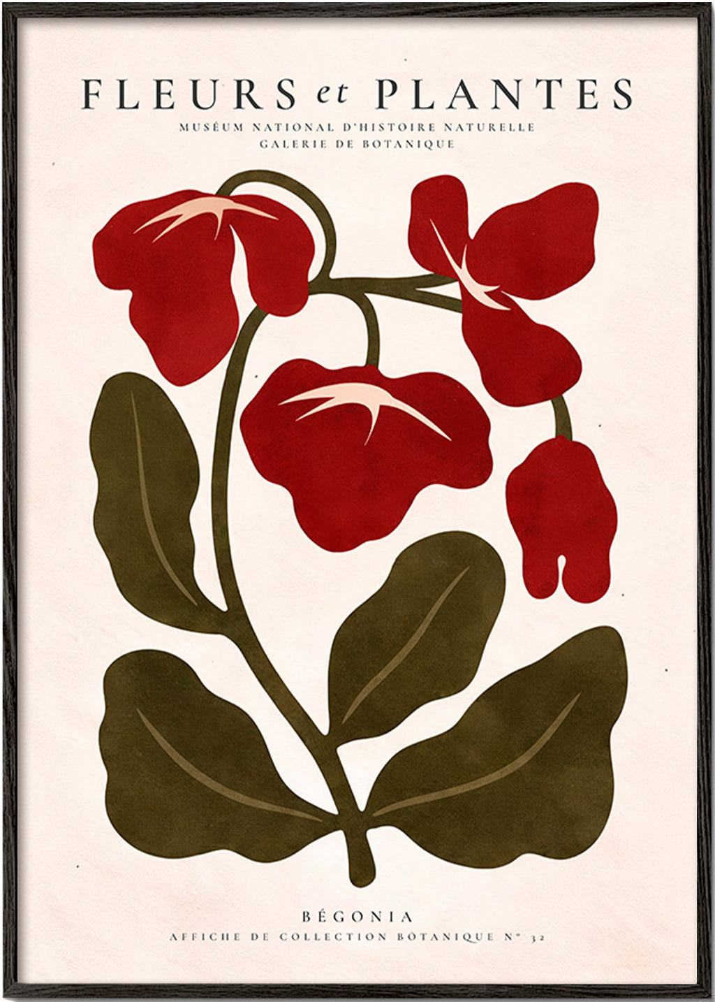 Botanisk poster: Röd begonia stiliserad