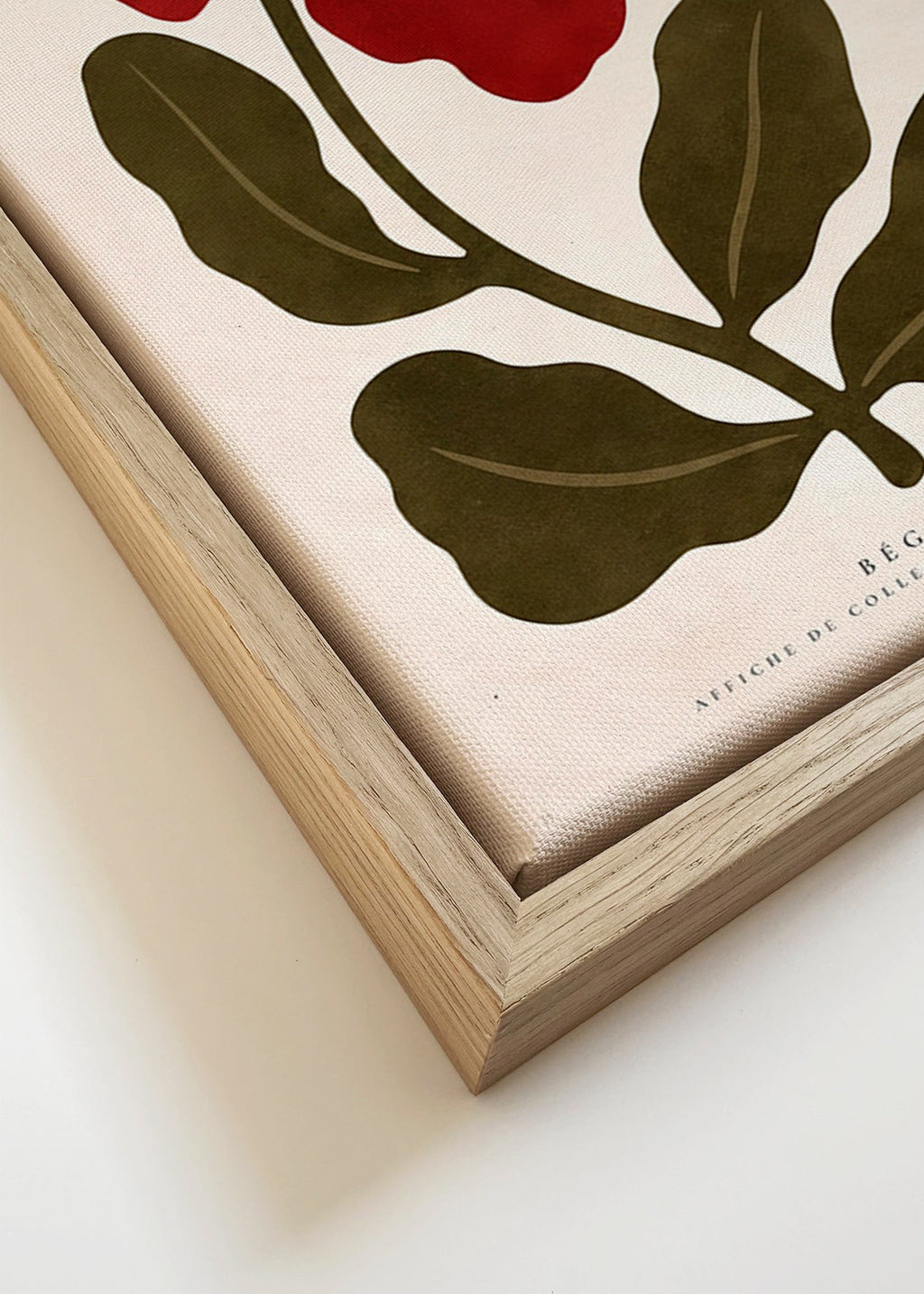 Botanisk poster: Röd begonia stiliserad