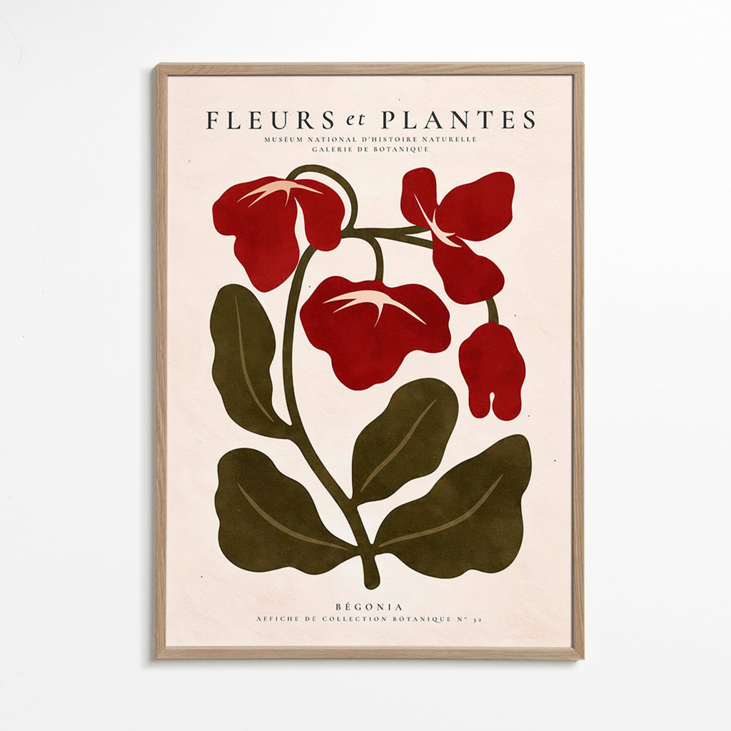Botanisk poster: Röd begonia stiliserad