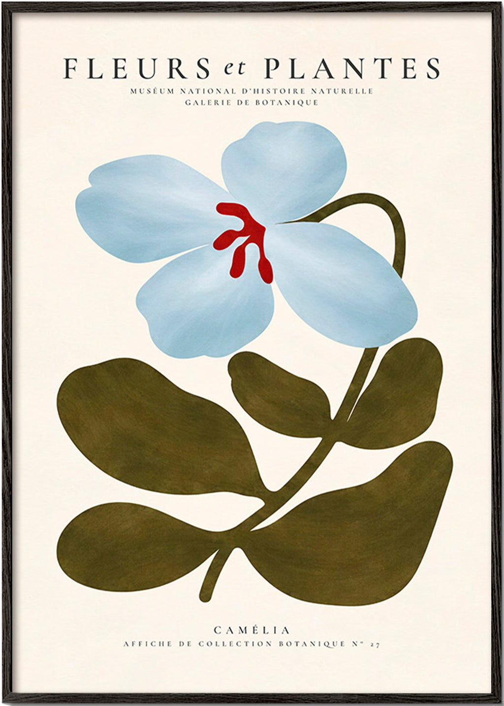 Botanisk poster Blåkamelia
