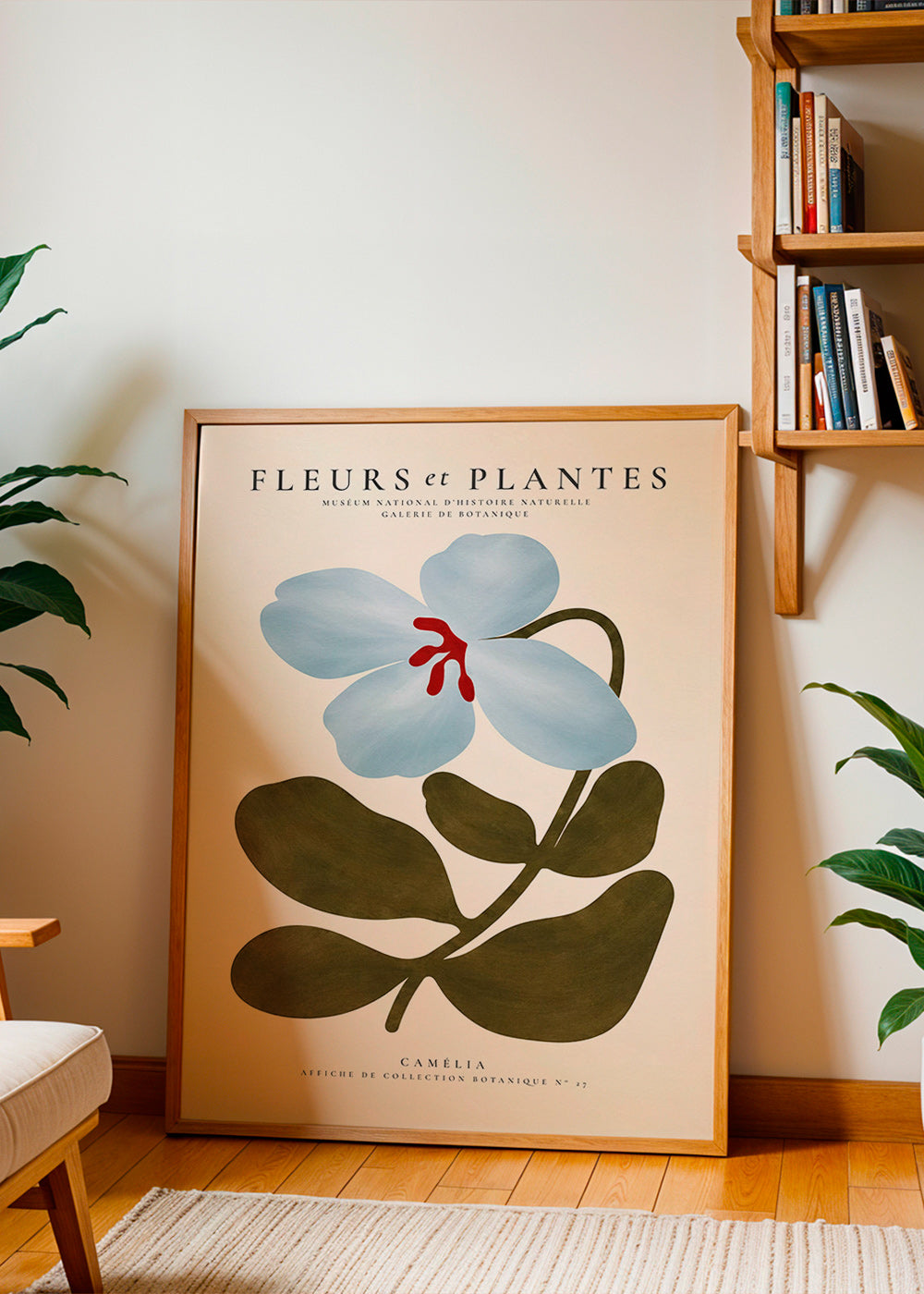 Botanisk poster Blåkamelia