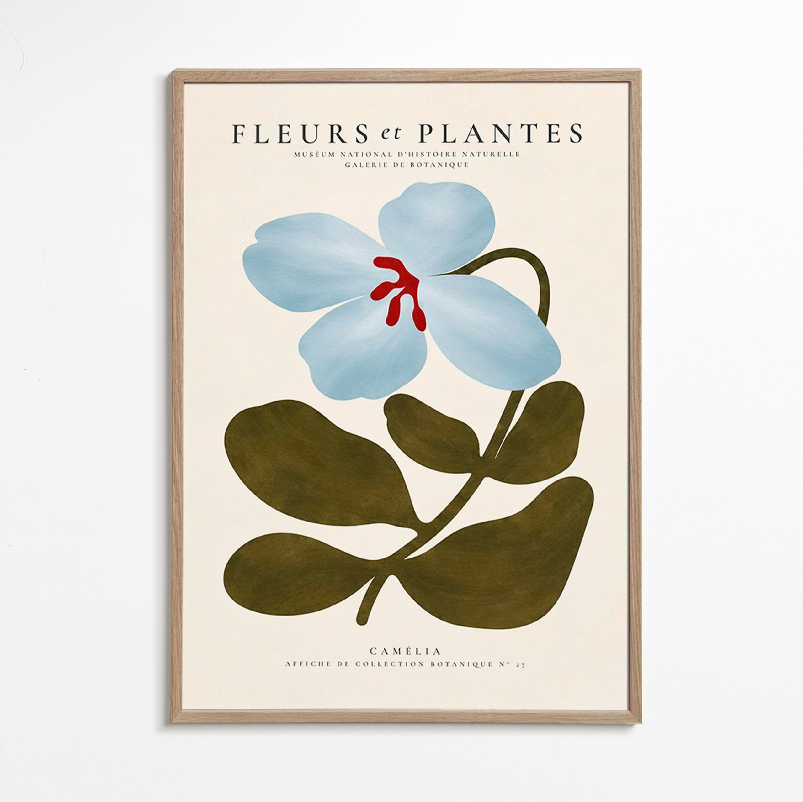Botanisk poster Blåkamelia