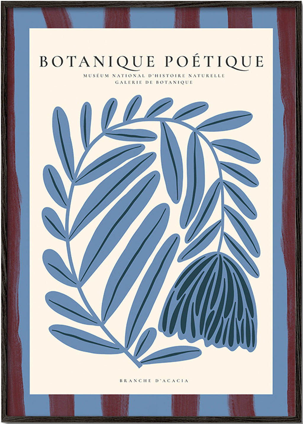 Botanisk poster: stiliserad blå akacia
