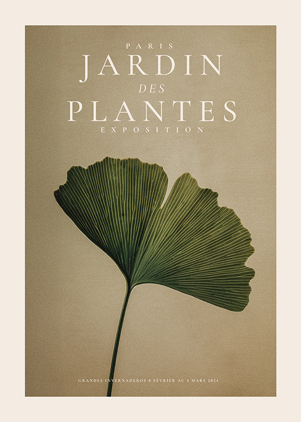 Botanisk poster med ginkgo-blad och klassisk typografi