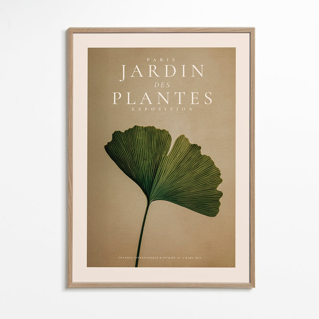 Botanisk poster med ginkgo-blad och klassisk typografi