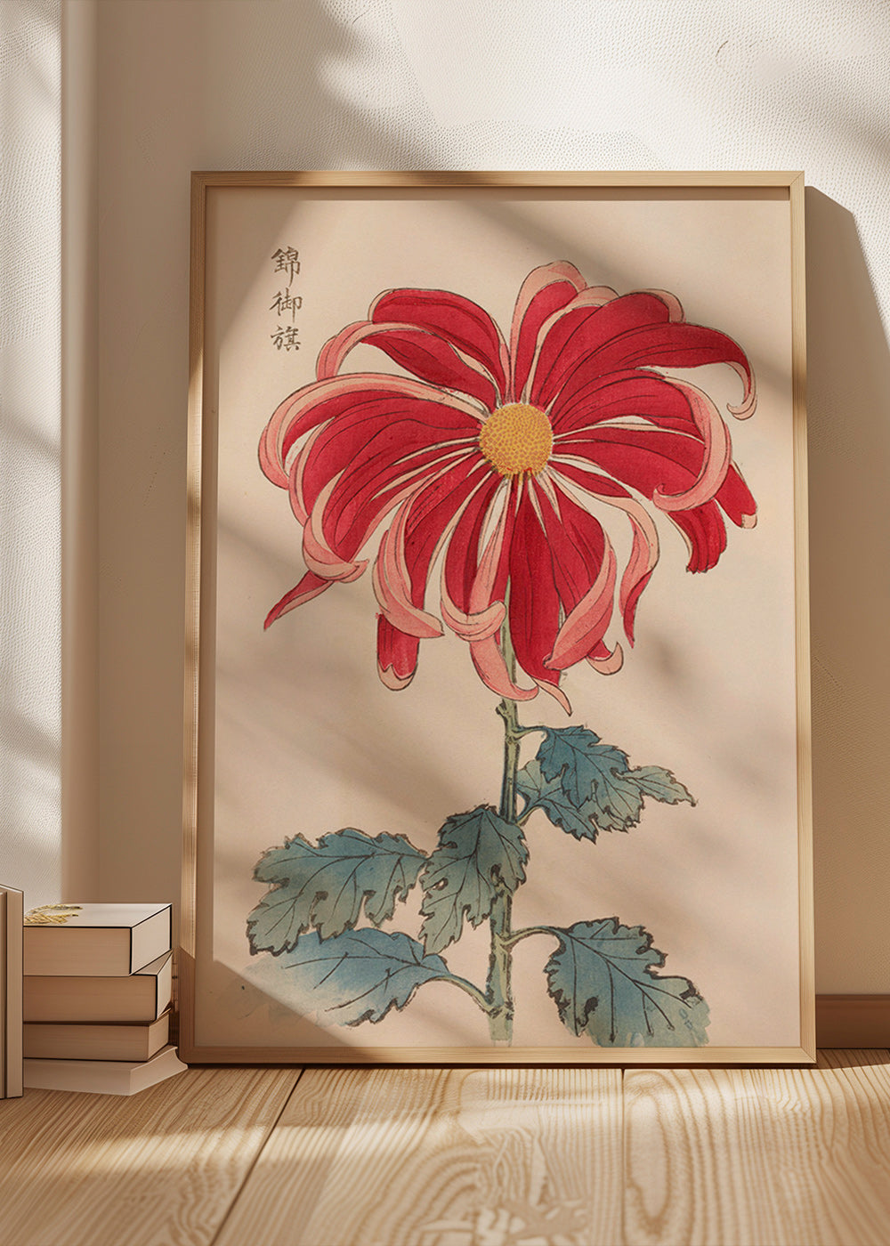 Botanisk poster japansk krysantem röd
