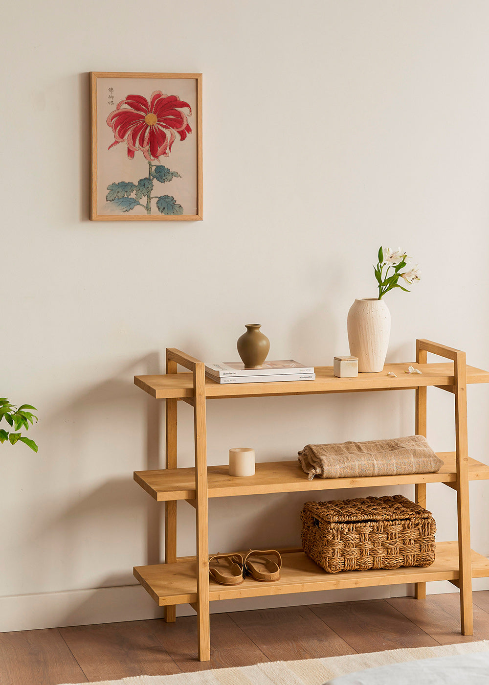 Botanisk poster japansk krysantem röd