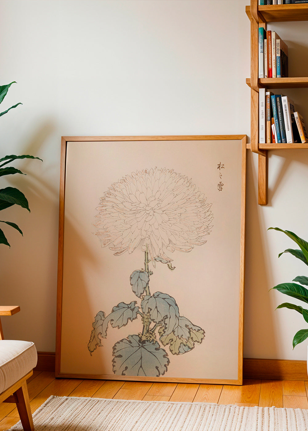Botanisk poster: japansk krysantem i detalj