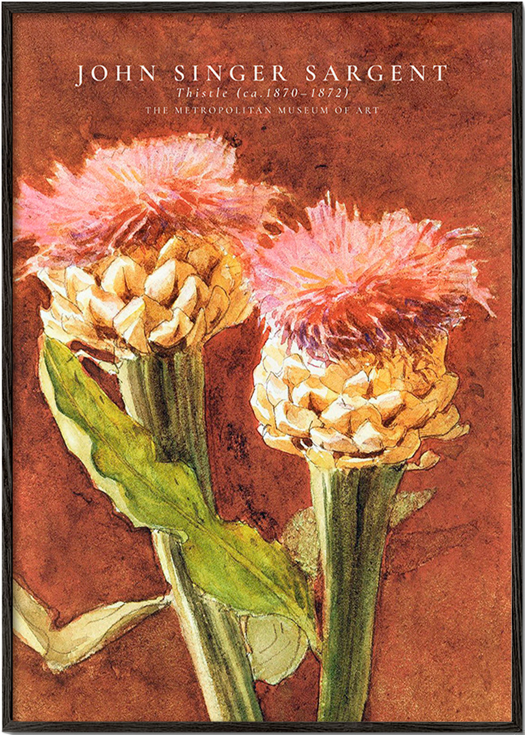 Botanisk poster med rosa tistlar
