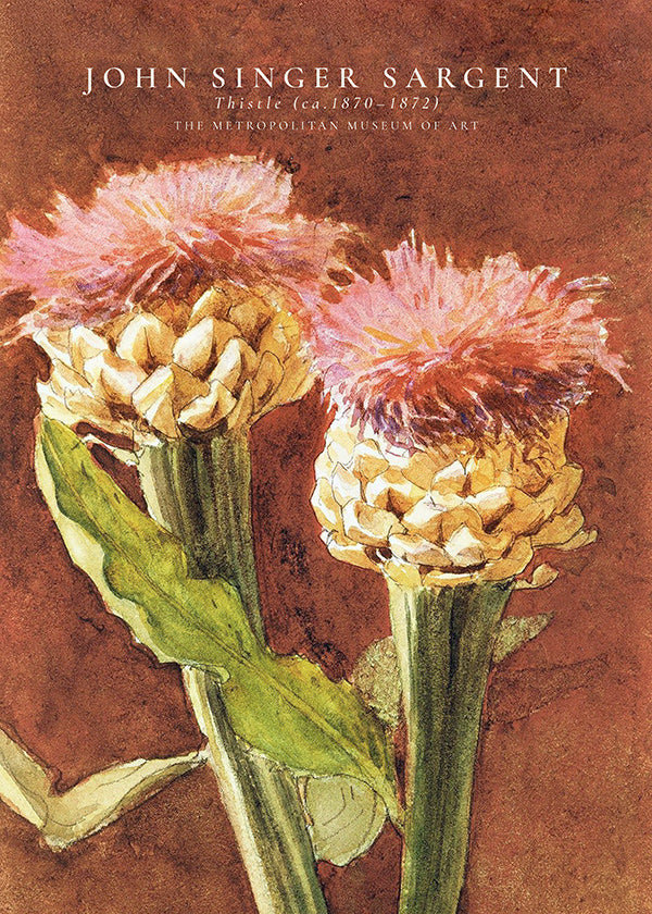 Botanisk poster med rosa tistlar