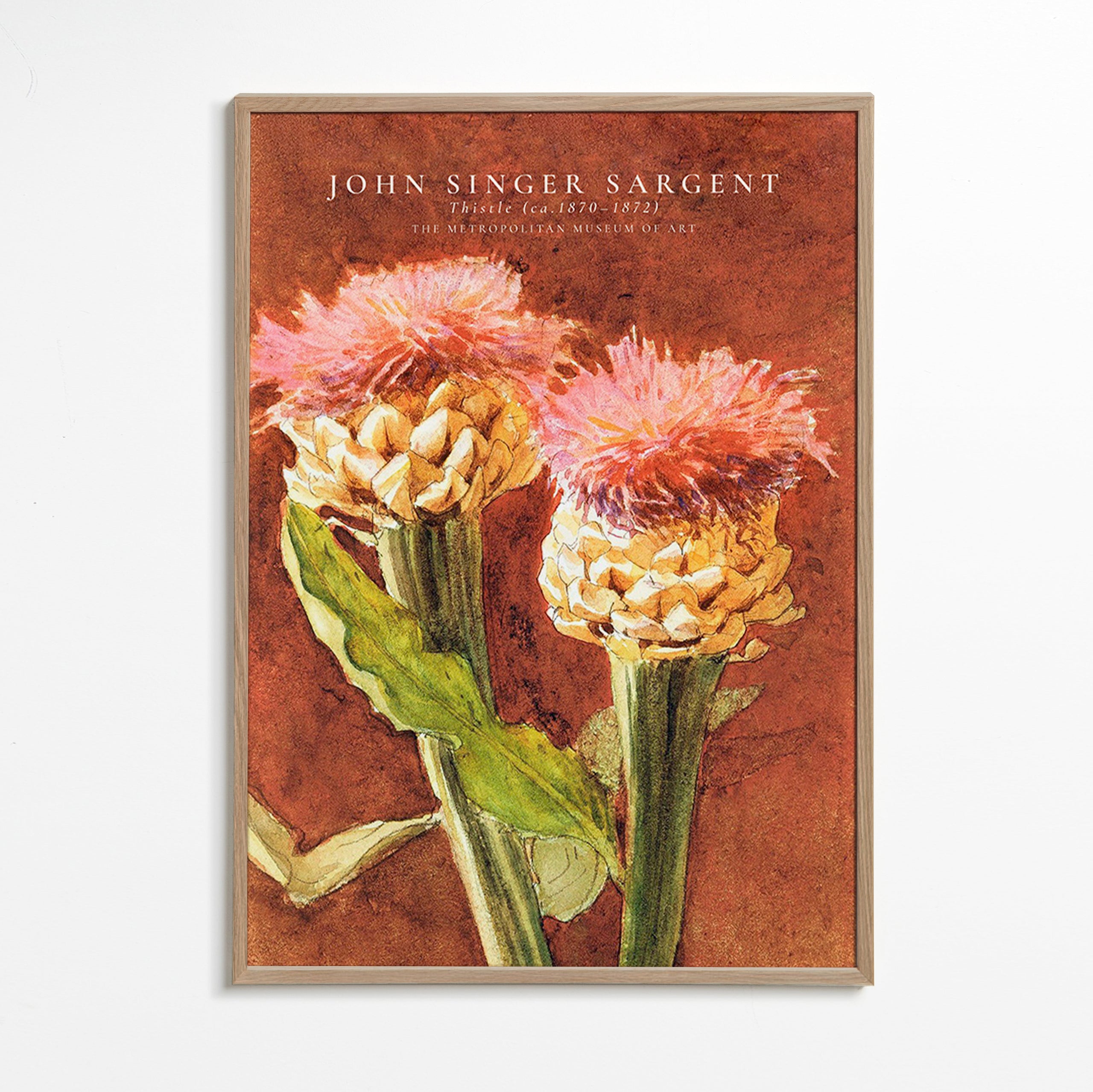 Botanisk poster med rosa tistlar