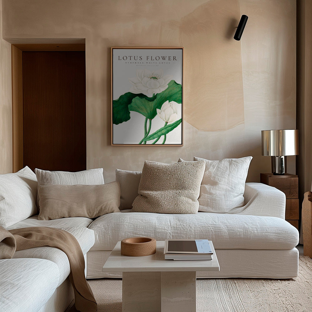 Botanisk poster Vit lotusstudie