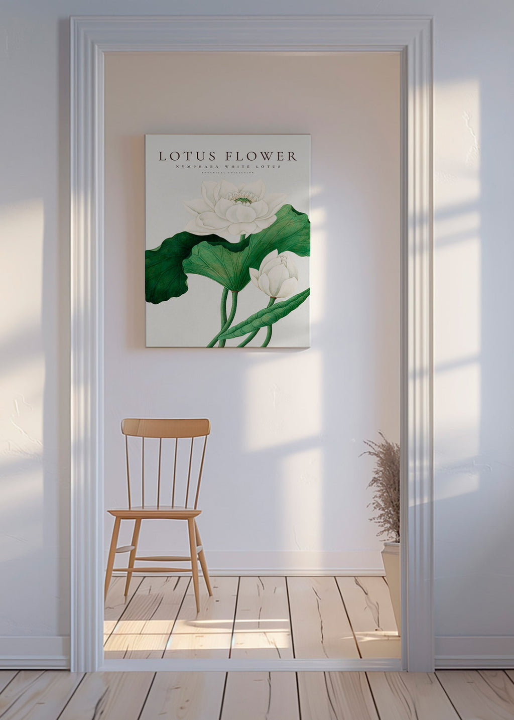 Botanisk poster Vit lotusstudie