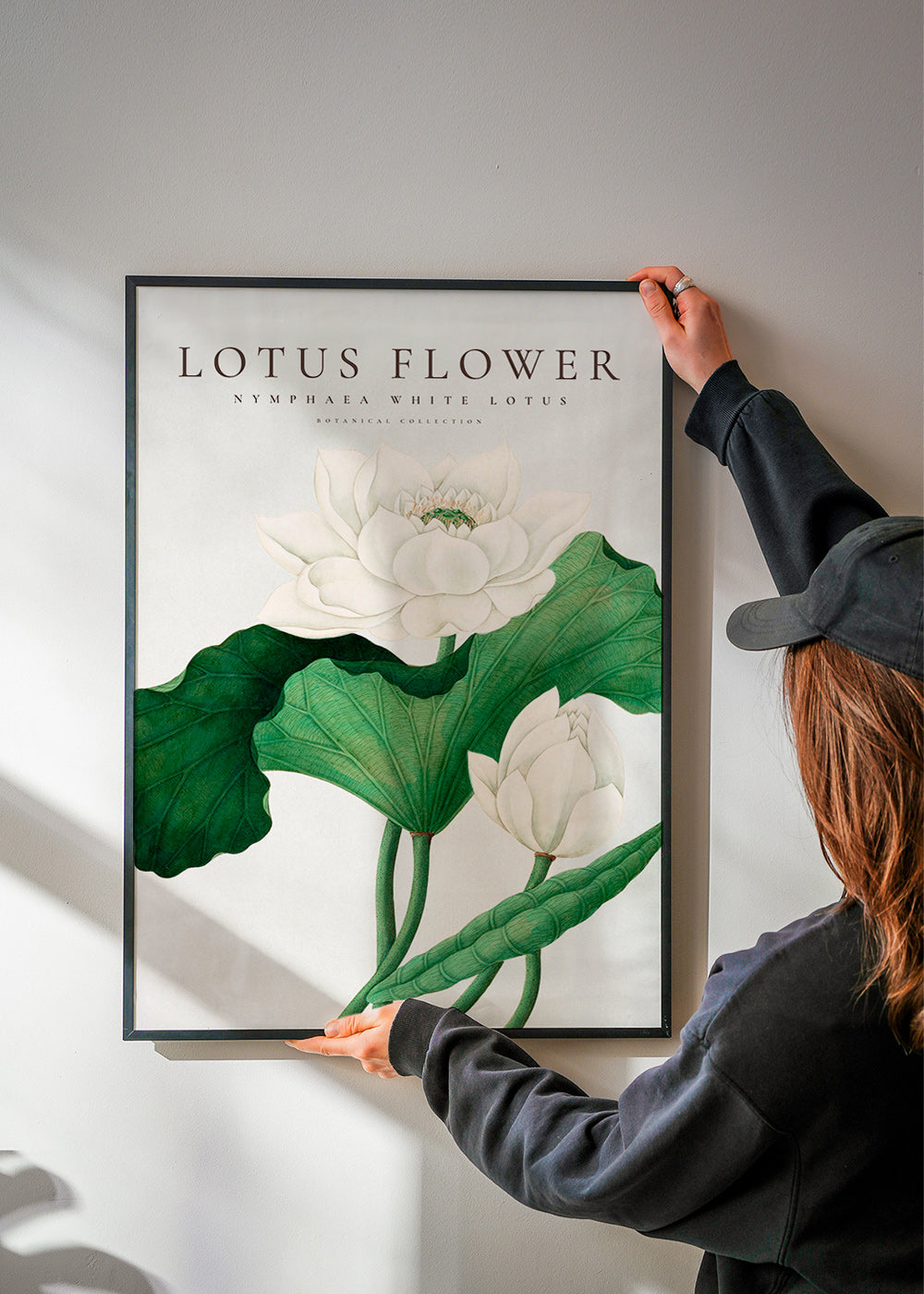 Botanisk poster Vit lotusstudie